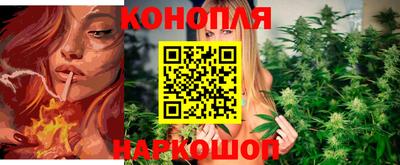прущие крисы Ирбит