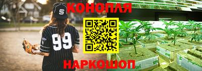 прущие крисы Ирбит