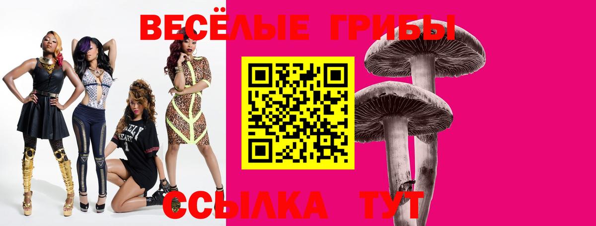 Псилоцибиновые грибы прущие грибы  Вход с VPN  Псилоцибиновые грибы MAGIC MUSHROOMS  Кузнецк 