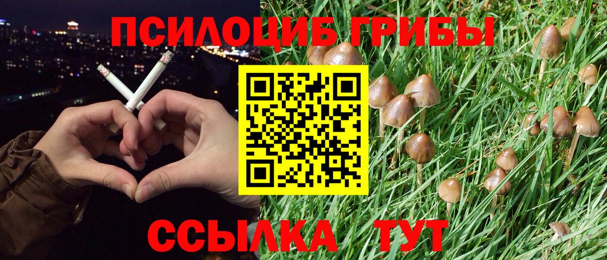 Галлюциногенные грибы мицелий Кузнецк