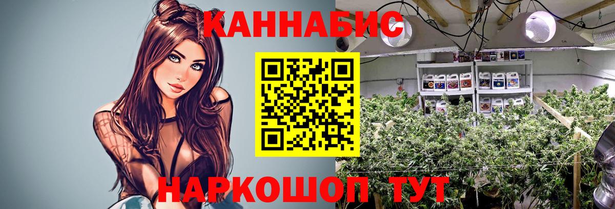 Канабис OG Kush Кузнецк
